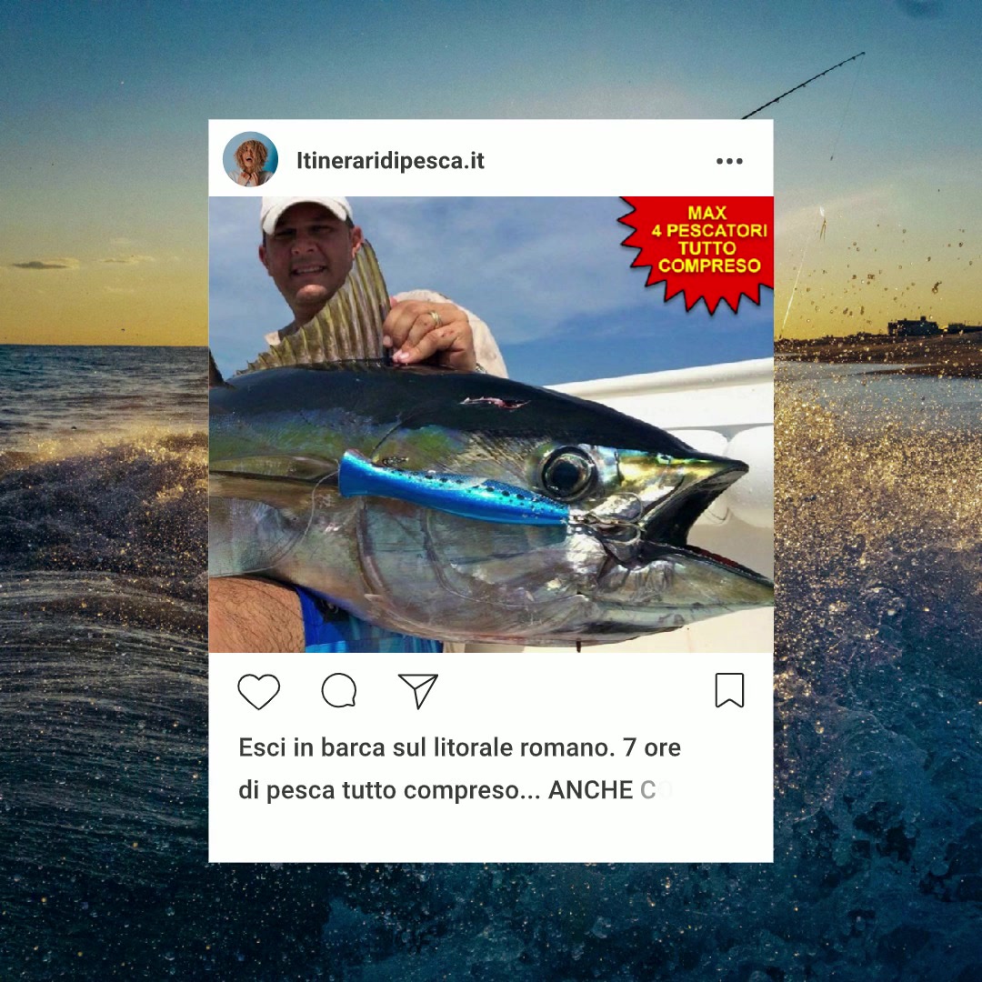 itineraridipesca.it tweet media