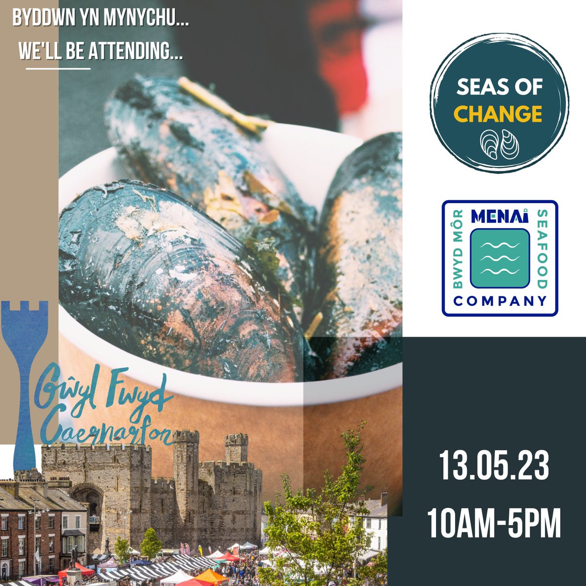 This Saturday, Seas Of Change and Meani Seafood Company will join forces to attend the Gŵyl Fwyd Caernarfon, where we'll be engaging with the public about our exciting collaborative project #foodsustainability #mussels #bwydcymru