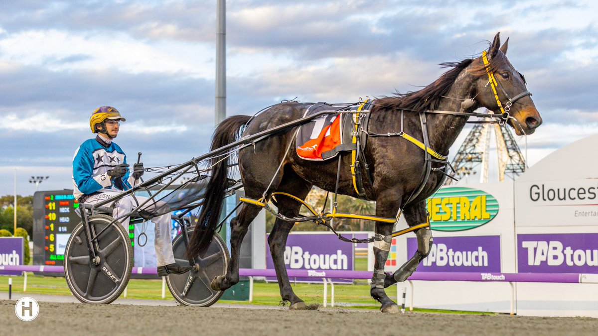 GloucesterPark's tweet photo. Nullarbor Navajo was well backed in markets and found enough to secure the W at #GloucesterPark…

#THeTrotsWA | 📸: @_HamiltonCC https://t.co/IhfSTletz5