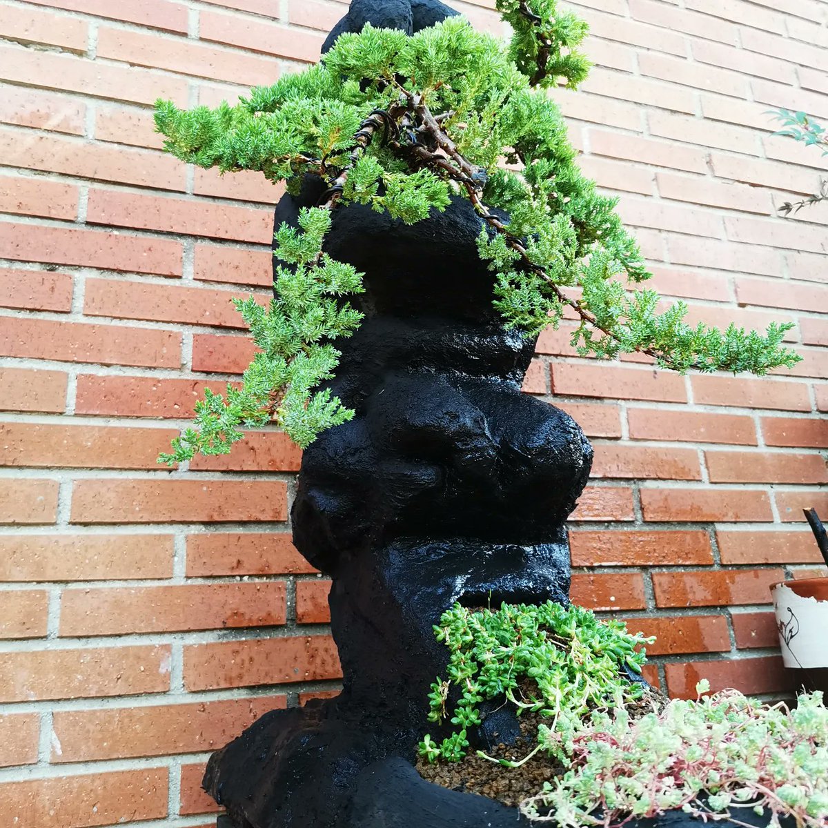 Nueva creación sobre roca de poliespan y cemento negro