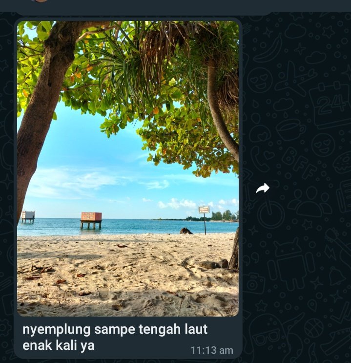 Pamer.