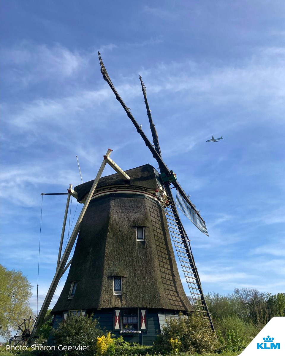 KLM tweet media