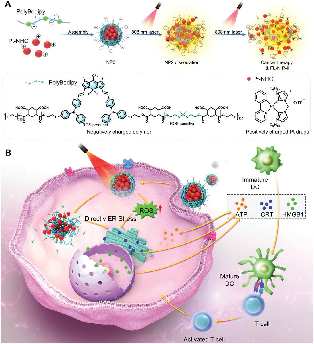 Johannes Karges tweet media