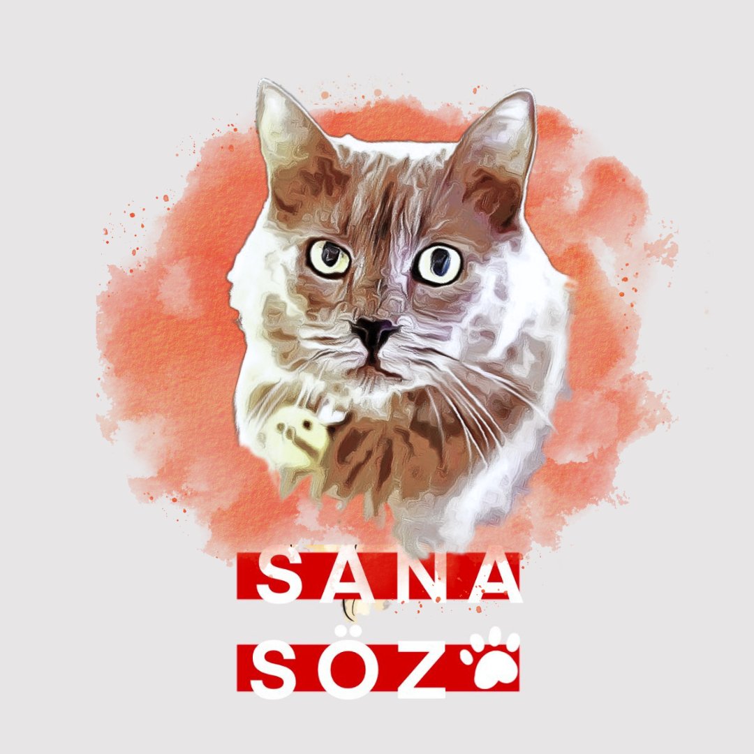 Sana söz 🐾🫶
<a href="/SeroChp/">Şero</a>