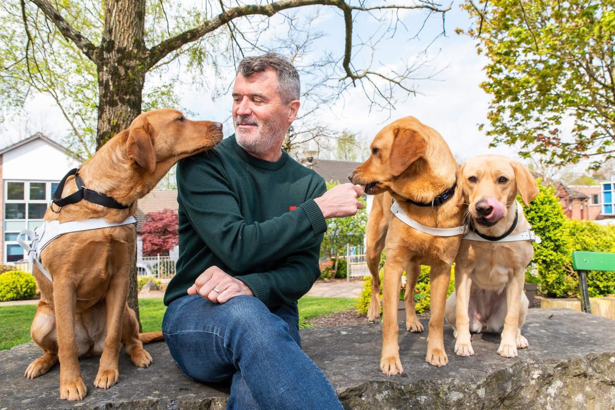 irishguidedogs's tweet image. Friday 26 May is Guide Dog Day!!

How can you get involved?

 * Support our collections nationwide
 * Donate at GuideDogs.ie/Donate
 * Join our dog walks on May 27 &amp;amp; 28.
 * Buy a Guide Dog Day pack!

Find out more here shop.guidedogs.ie/collections/gu… 

#GDD2023 #GuideDogDay #Walk4GDD