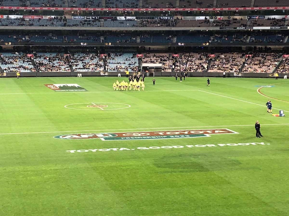 UmpireFanatic's tweet image. Did you know it's #CommunityUmpiringRound? You probably didn't cos it's not advertised anywhere but on @umpireafl 🤦‍♀️ what hope do we have!? #afl #umpireafl