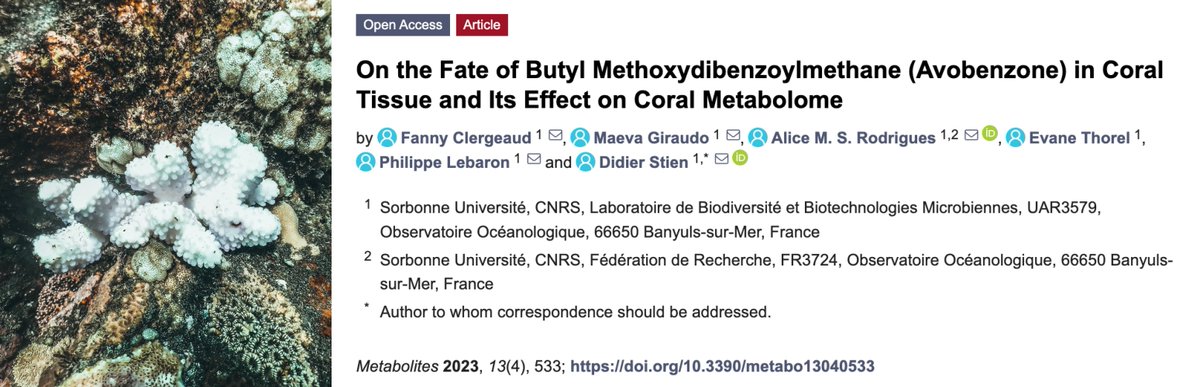 bright_giant's tweet photo. In corals exposed to #Avobenzone #UVfilter from #sunscreen, #SIRIUS_MS #CSIFingerID identified two carotenoids to be decreased, which indicates an alteration in the photosynthetic capacity of the coral.
#coralbleaching
More #SIRIUSScience news: https://t.co/gaodnF8Pah https://t.co/WPmUTrVrjj