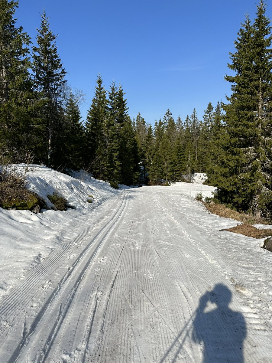 Skjennungstua tweet media