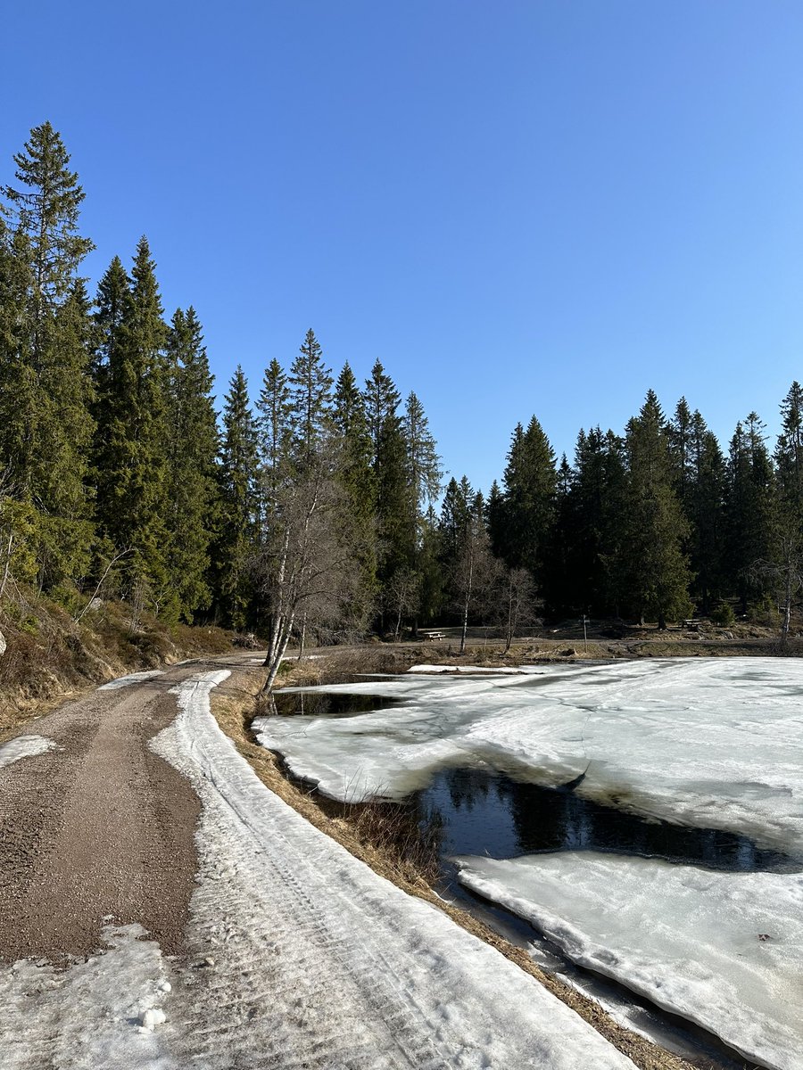 Skjennungstua tweet media