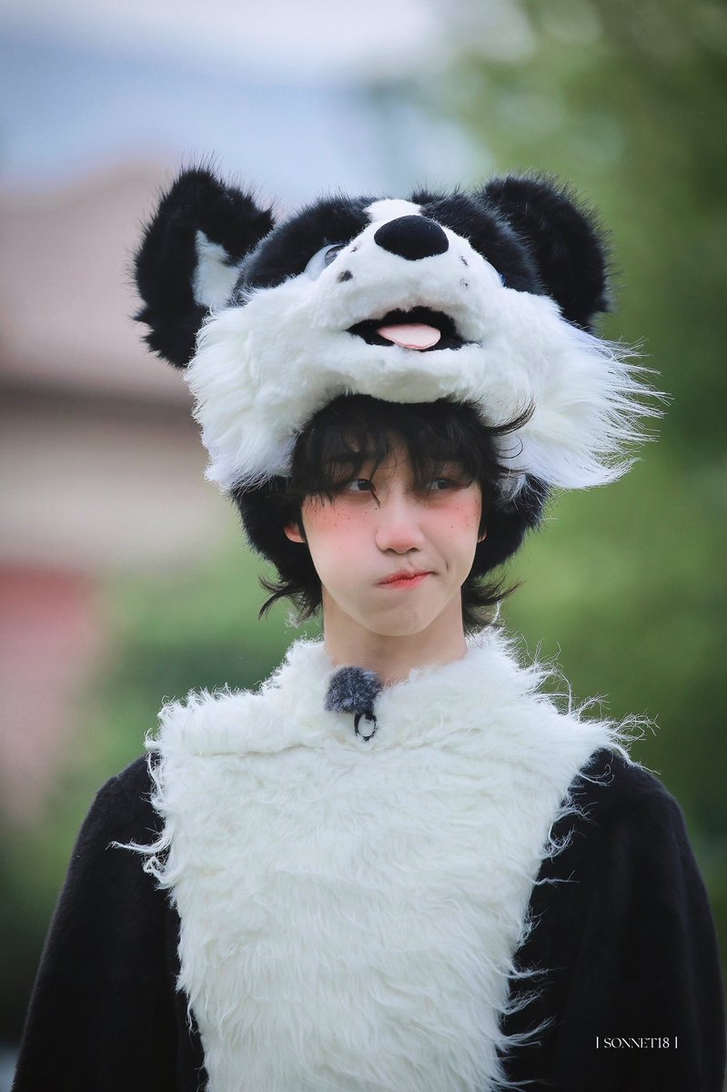 the8pics's tweet image. minghao's blush oh my god