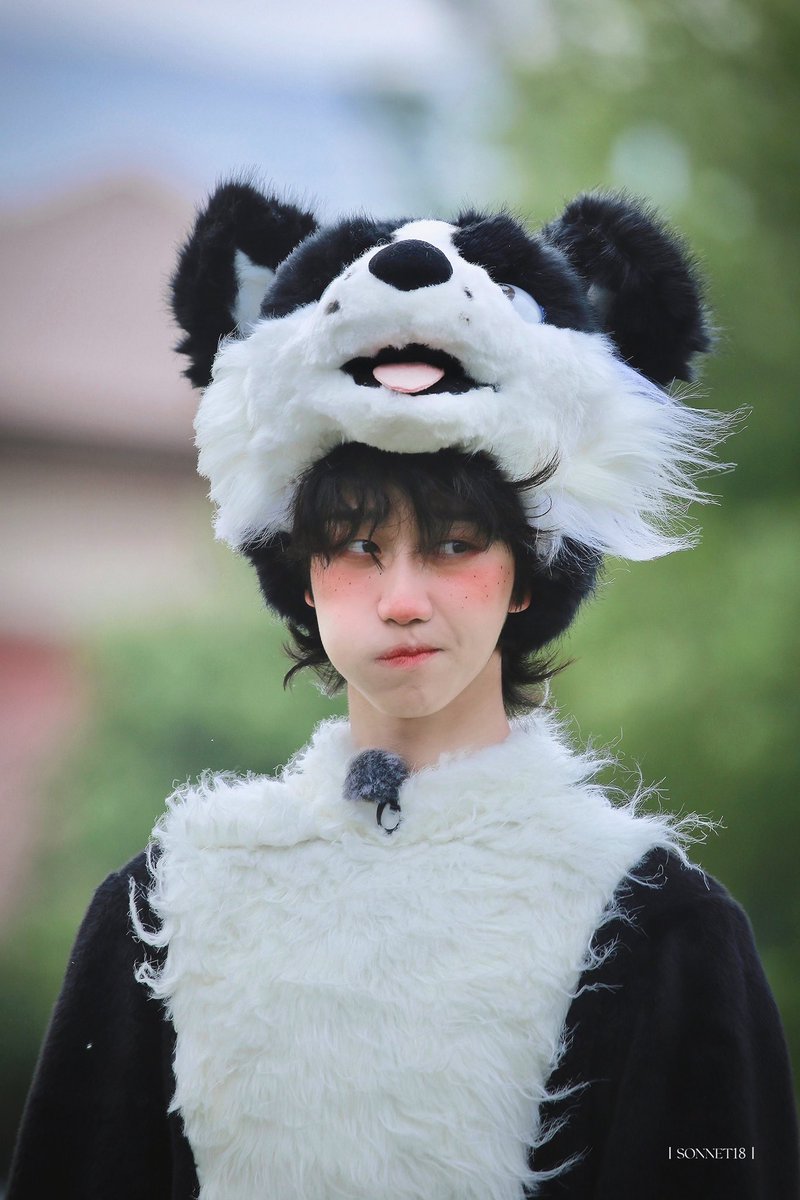 the8pics's tweet image. minghao's blush oh my god