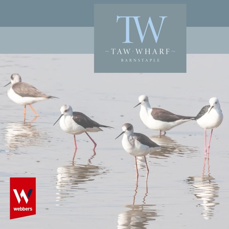 AnchorwoodLtd's tweet image. Our development, Taw Wharf sits right alongside the Taw-Torridge Estuary which forms part of the North Devon Biosphere Reserve. Its sand dunes, saltmarsh, grazing marsh and meadows make it home to an abundance of wildlife. #tawwharf #northdevon #ethicaldeveloper #anchorwoodltd