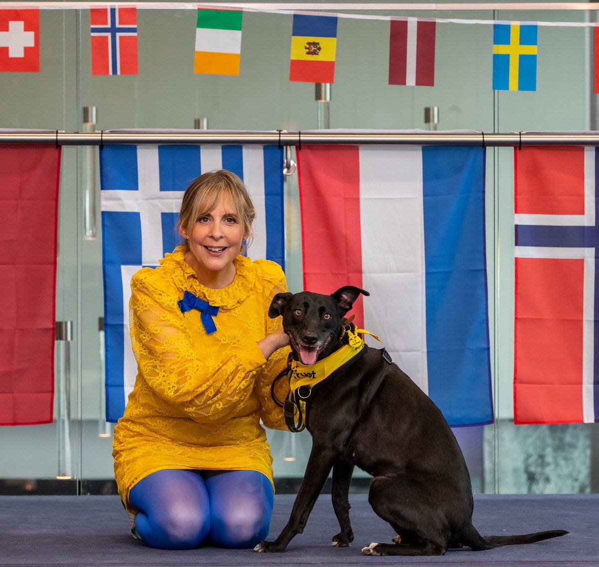 #Eurovision fever is building!🎶 #Eurovision2023 Song Contest commentator #MelGiedroyc joined @DogsTrust this week in #Liverpool to meet Betty, a #lurcher looking for her furever home📸⬇️

Find out more about Betty here ➡️dogstrust.org.uk/rehoming/dogs/… 🐶

#AdoptDontShop #DogsOfTwitter