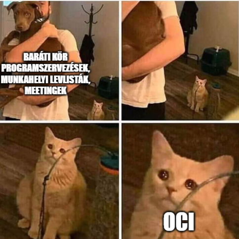 ocelotminta's tweet photo. az elmúlt 2 hetem egy képben.
de persze jön most az email, hogy délig ezt meg azt el kéne intézni. https://t.co/MhhY23eB7K