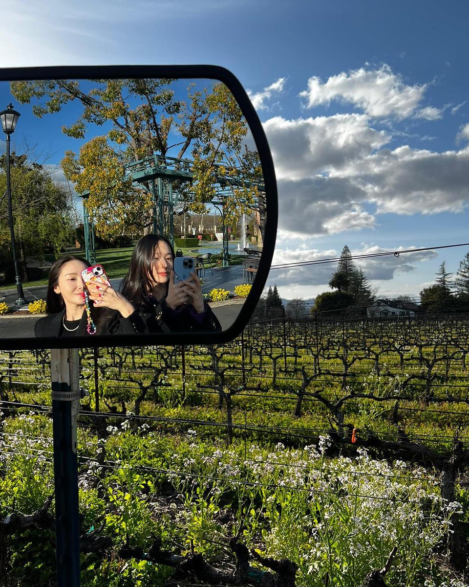 수정이 저장소 tweet media