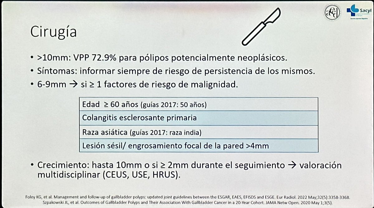 Leire Parapar tweet media