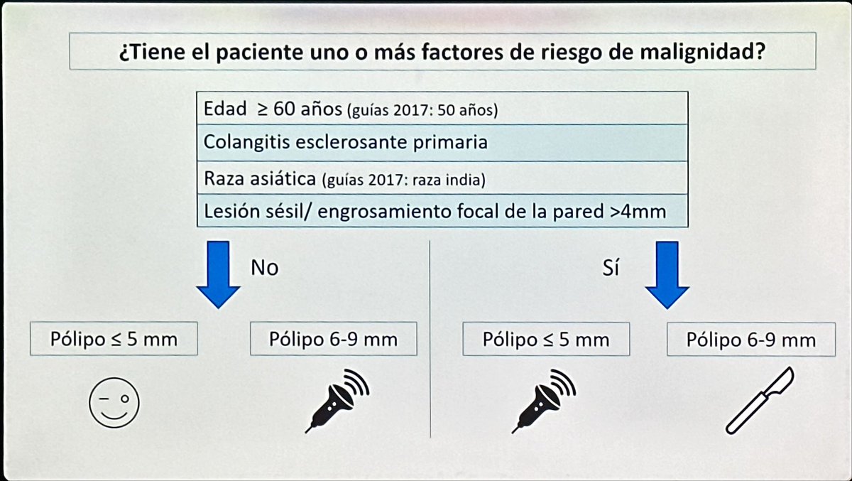 Leire Parapar tweet media