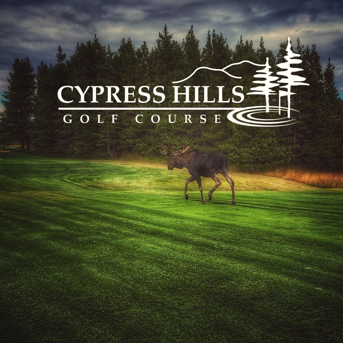 golfCHGC's tweet photo. Cypress Hills Golf Course is officially open for the season! Call us at (306) 662-4422 to book your tee times. Come visit Cypress Hills and golf the unexpected with us
#golfcypresshills #golftheunexpected #saskparks #cypresshillsinterprovincialpark #exploresask #golfsask https://t.co/oNHgffdDRW