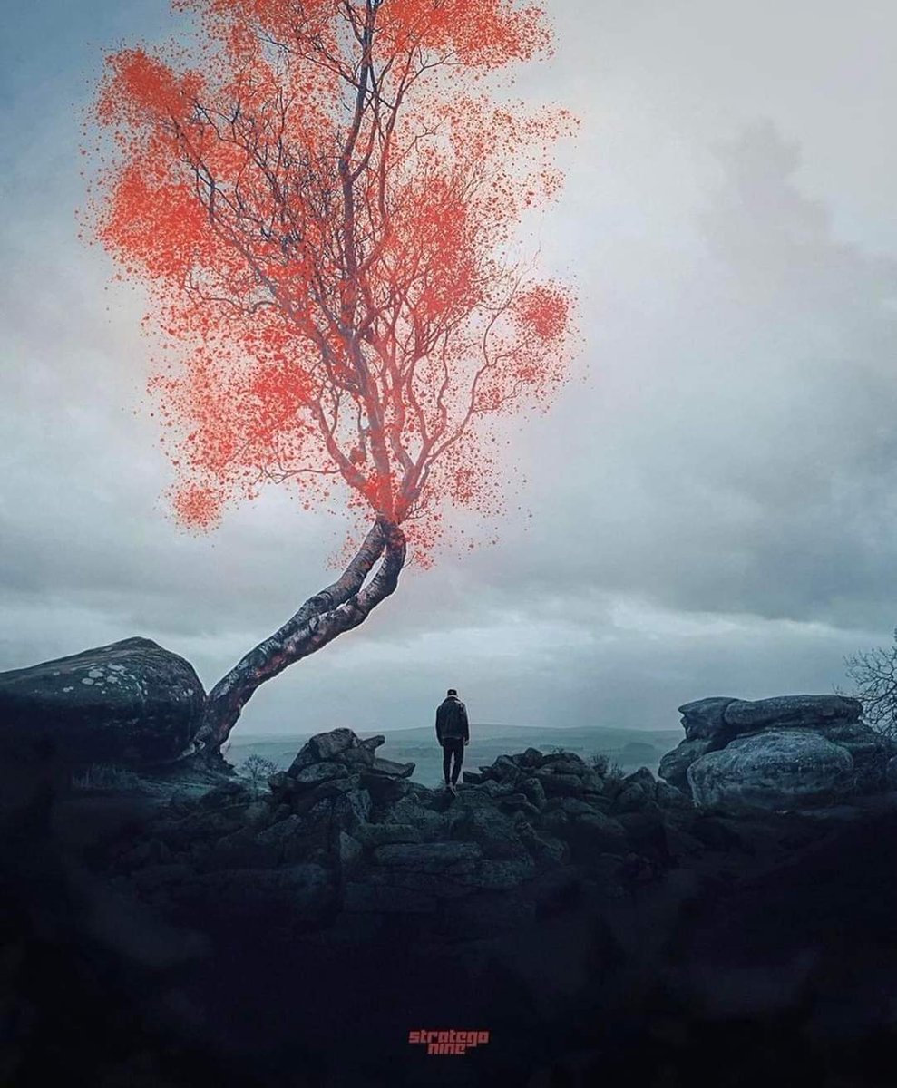 وقُل للقلب: 
"سوفَ تذوقُ خيرًا
فحُلمك هيّنٌ واللهُ قَادر!"🤍