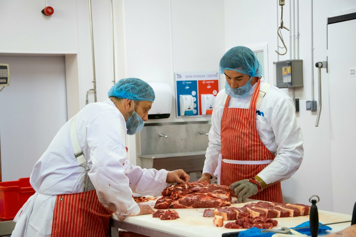 FoodTechCentre1's tweet photo. Beef Butchery workshop held at the centre last week ๐ฅฉAttendees were provided with valuable insights into the techniques of steaking, jointing, dicing and mincing #FoodTech #BeefButchery #ProfessionalDevelopment https://t.co/NrxbD5RAcF