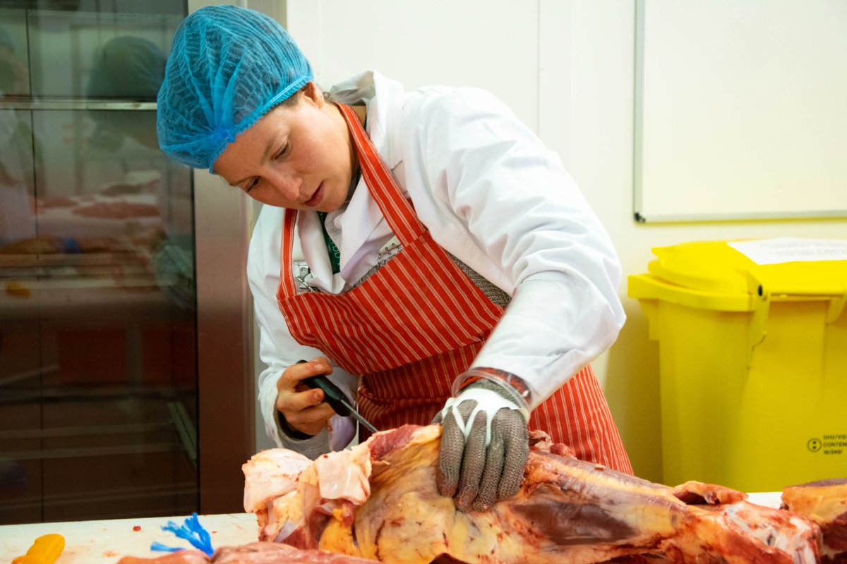 FoodTechCentre1's tweet photo. Beef Butchery workshop held at the centre last week ๐ฅฉAttendees were provided with valuable insights into the techniques of steaking, jointing, dicing and mincing #FoodTech #BeefButchery #ProfessionalDevelopment https://t.co/NrxbD5RAcF