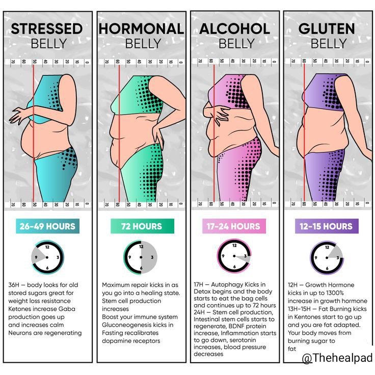 Thehealpad's tweet photo. Intermetting fasting plans for different types of bellies! ✨ https://t.co/HHCRzaW2if