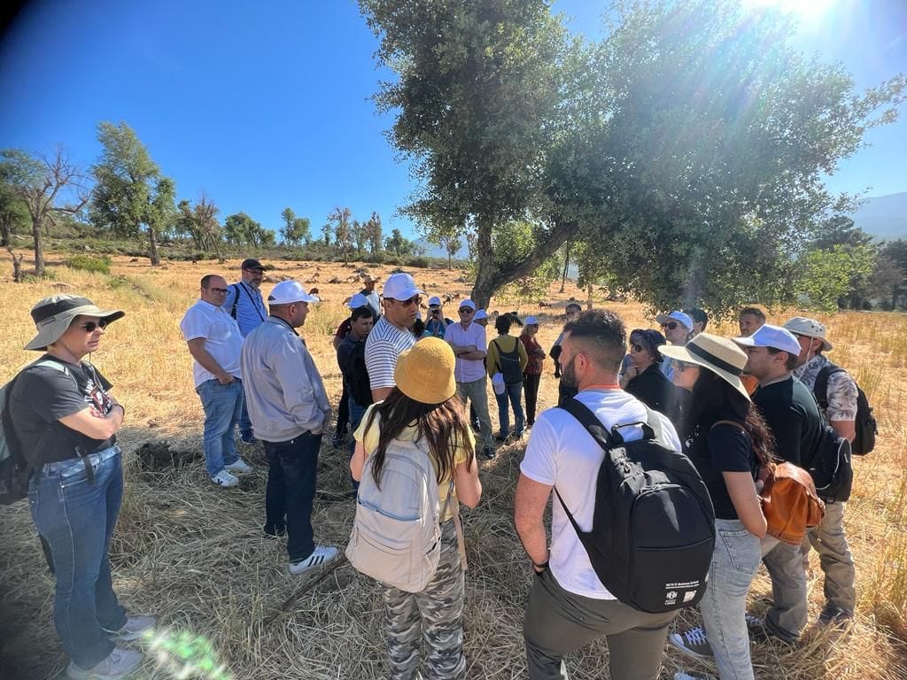 pastinnova's tweet photo. ๐๐ฅOn the 2nd day of the General Assembly in Tangier, Marocco, on the 11th of May, the PASTINNOVA consortium participated in a study visit.๐ช๐๐๐
#PASTINNOVA #Mediterranenpastoralism #Shepherdslife #Valuechainofpastroalproducts #RegionalLivingLabs #H2020 #PRIMAMED #PRIMA https://t.co/zwyiK56tC2