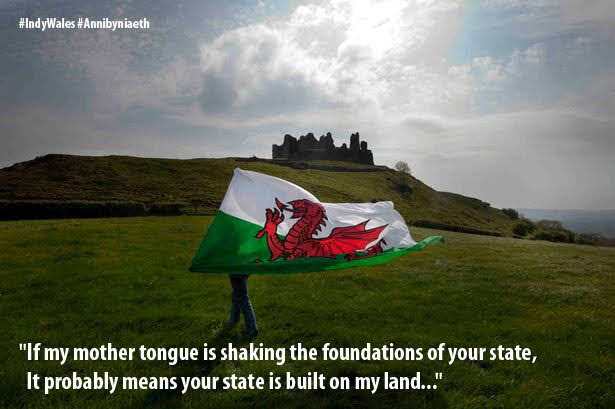 JonnyValleyBoy tweet media