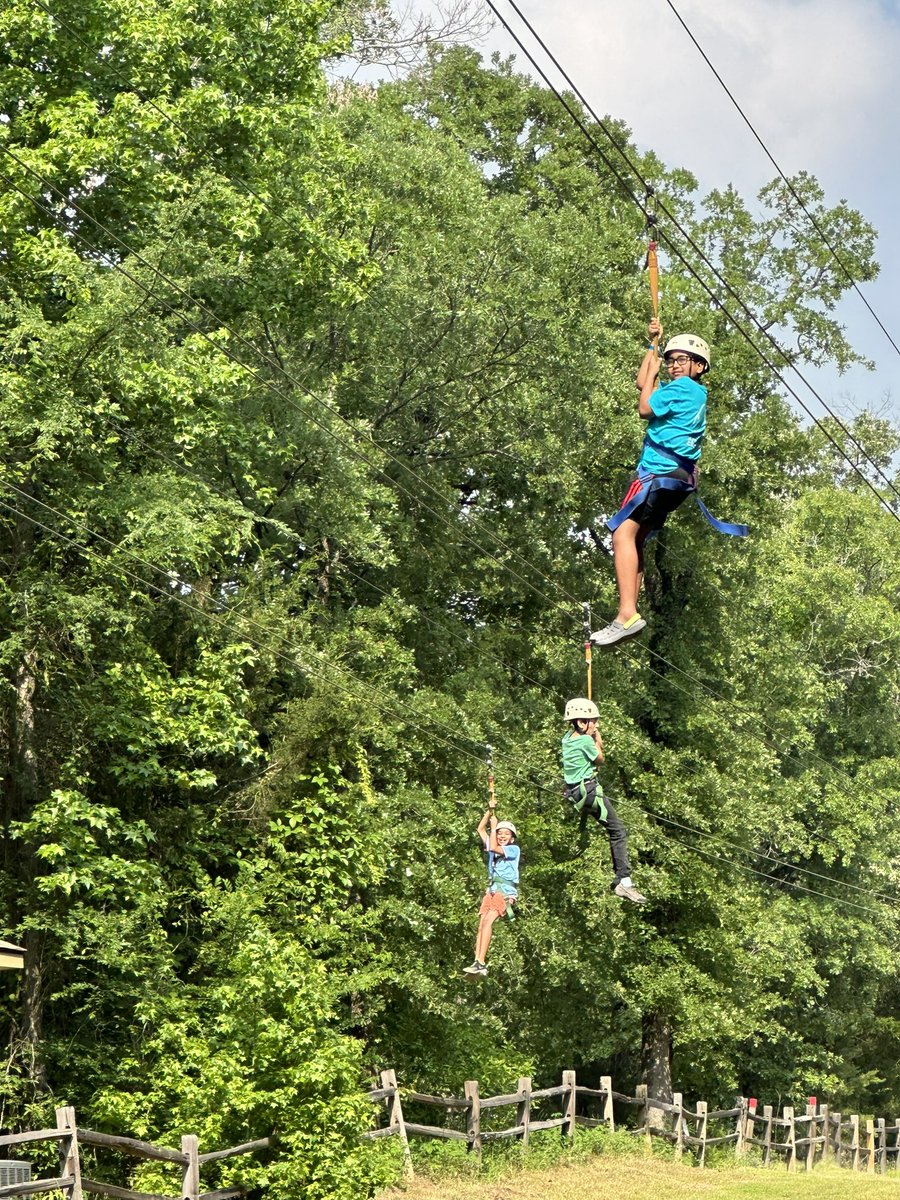 Meredith Schaaf tweet media