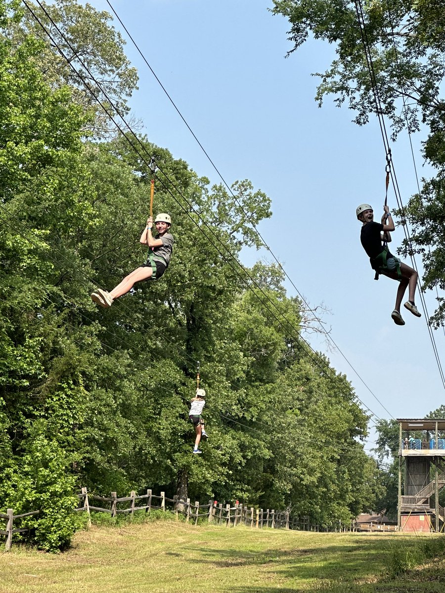 Meredith Schaaf tweet media