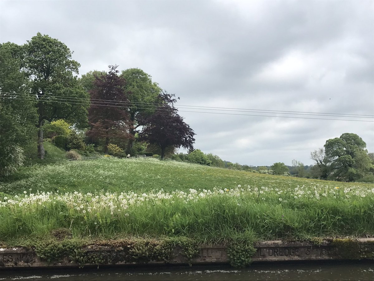 GeraghtyJanis's tweet photo. Lovely trip today to the top of #hattonlocks #boatsthattweet https://t.co/L4WsFUioWr
