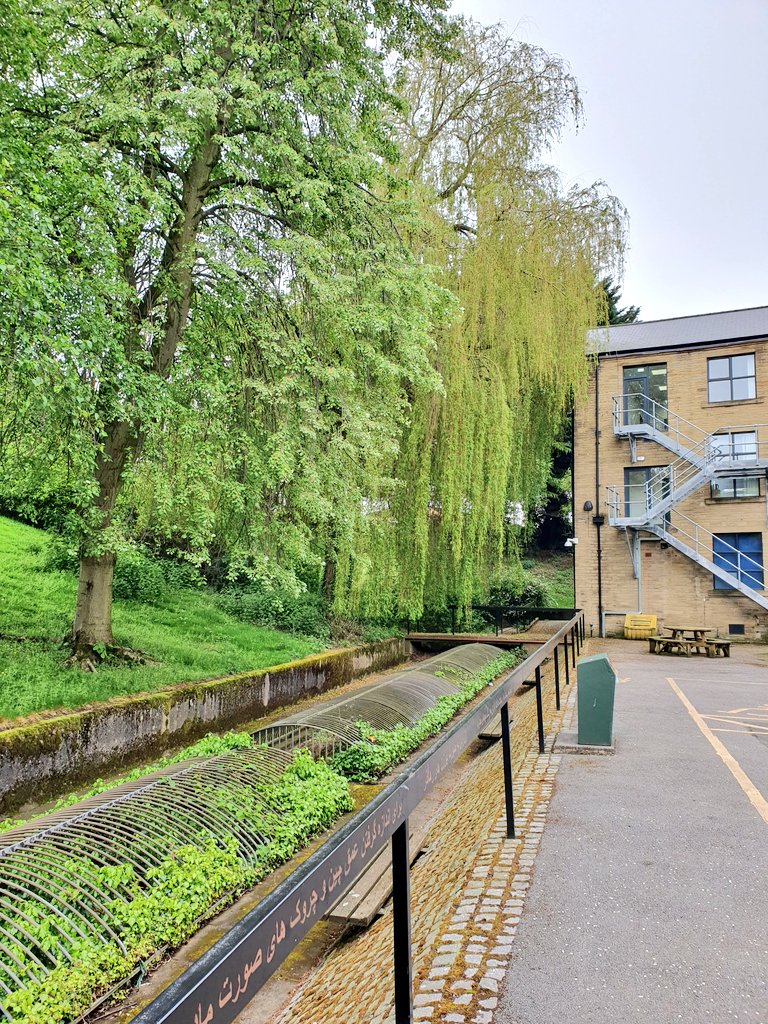 Proto-type tweet media