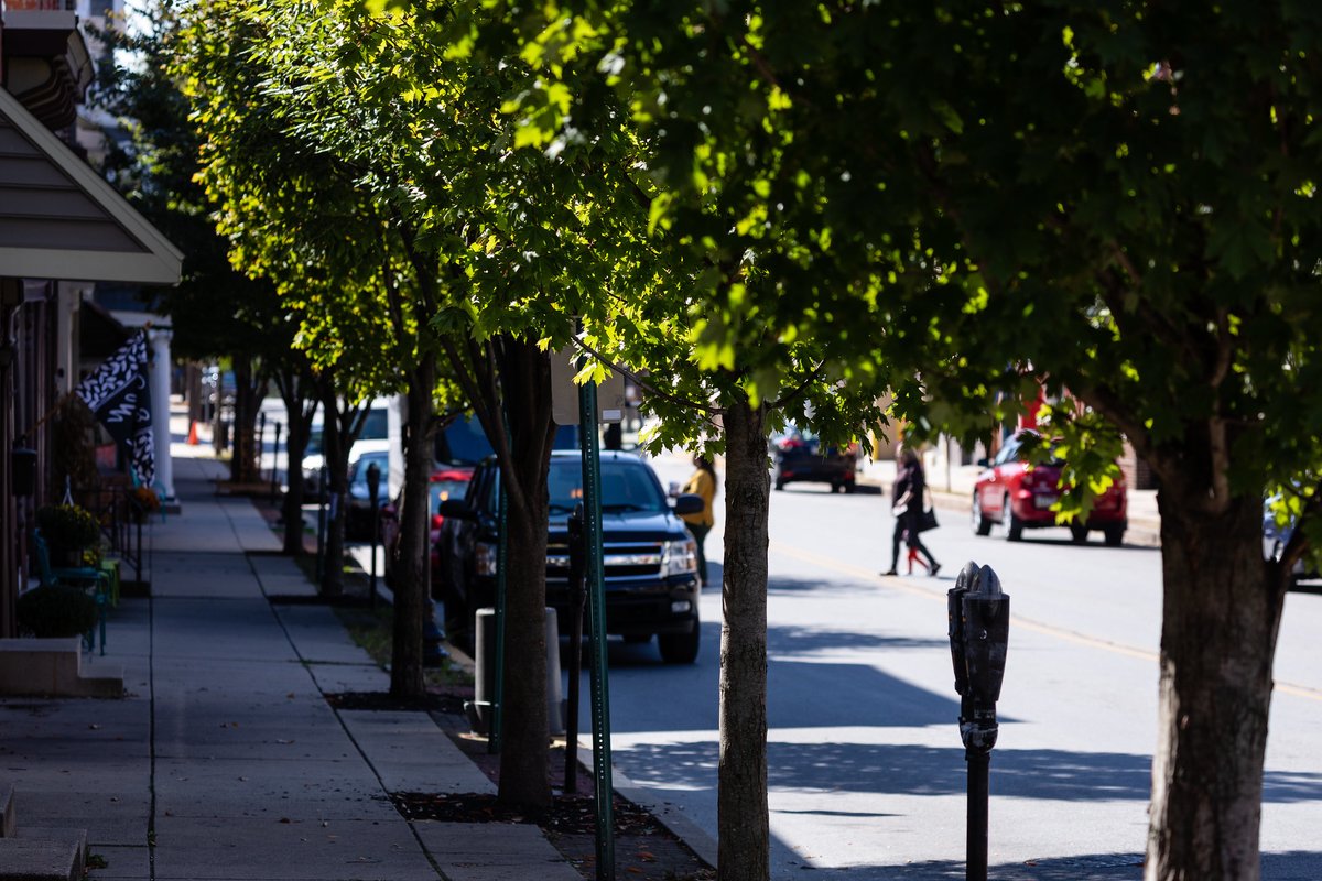 DYK shaded surfaces can have a temperature that is 20–45°F cooler than unshaded peak temperatures? Planting trees and vegetation can provide some much needed shade in hot, urban areas. 

📸Will Parson/Chesapeake Bay Program