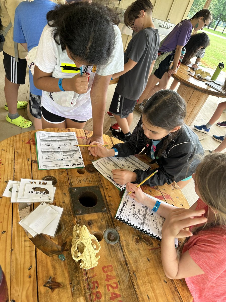 Meredith Schaaf tweet media