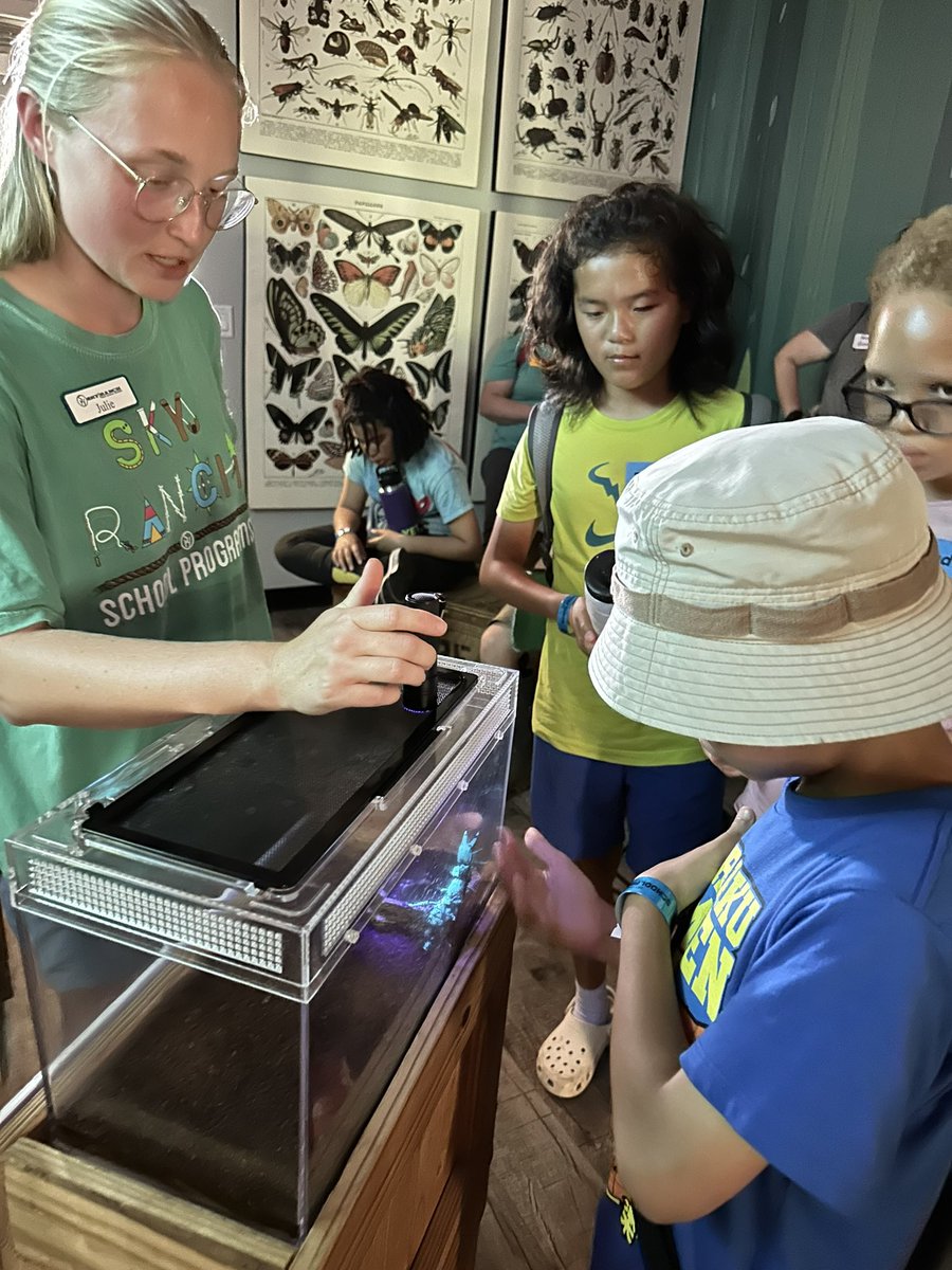 Meredith Schaaf tweet media