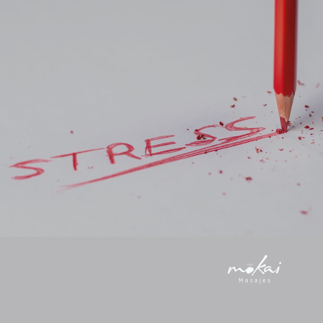 MokaiMasajes's tweet image. ¿Estresado después de una larga semana de trabajo? Permítete un poco de tiempo para ti y programa una cita ¡Tu cuerpo y mente te lo agradecerán! 😌👌🏼
#mokai #masajeterapéutico #masajes #relajación #mokaimasajes #tiempoparati