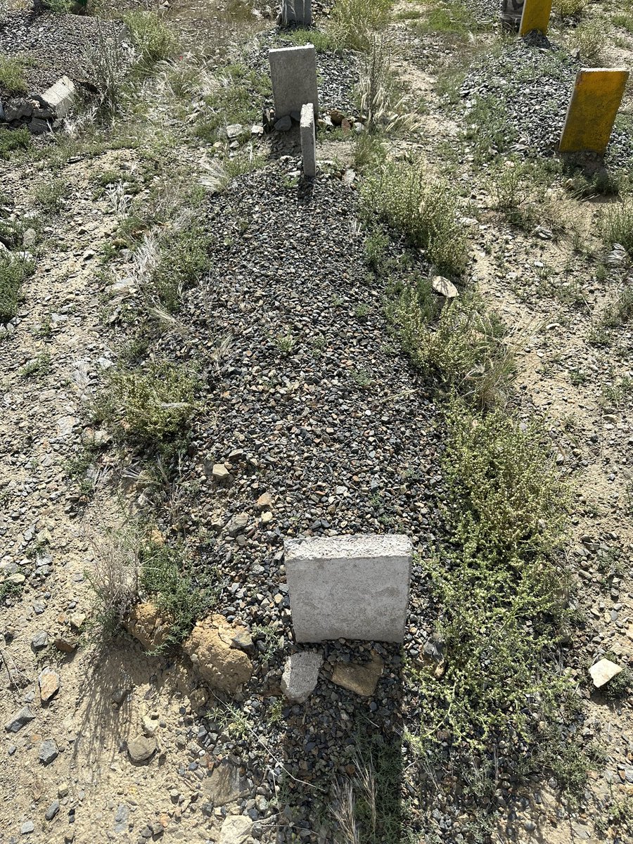 #ساعه_استجابه

اللهم ارحم امي واموات المسلمين ❤️.