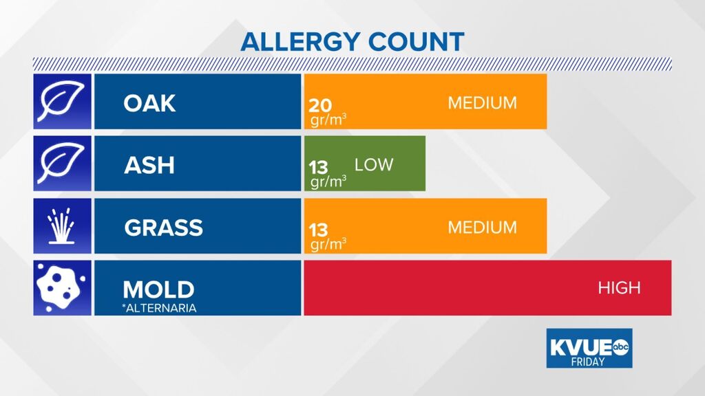 Austin Allergies tweet media