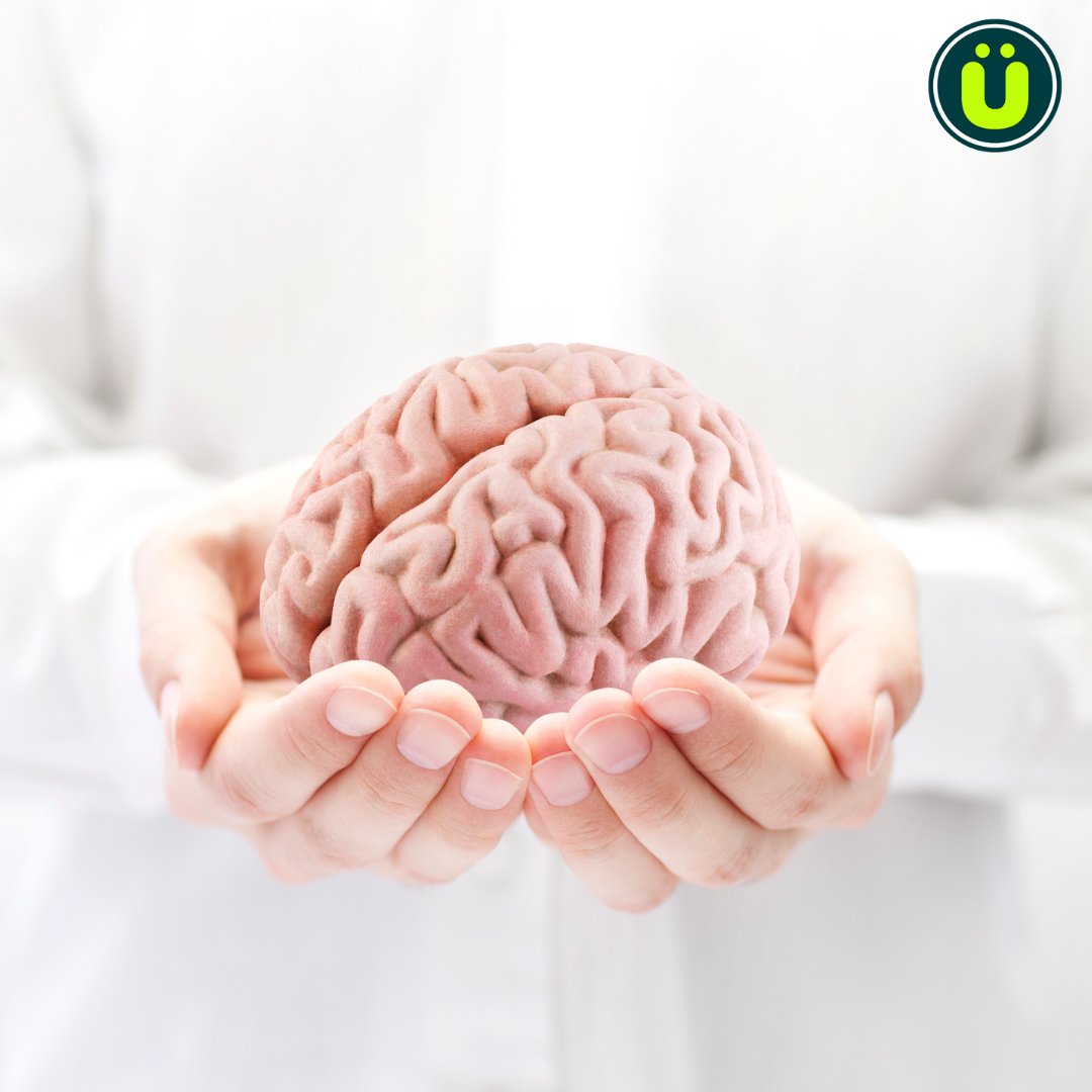 UberFacts tweet media
