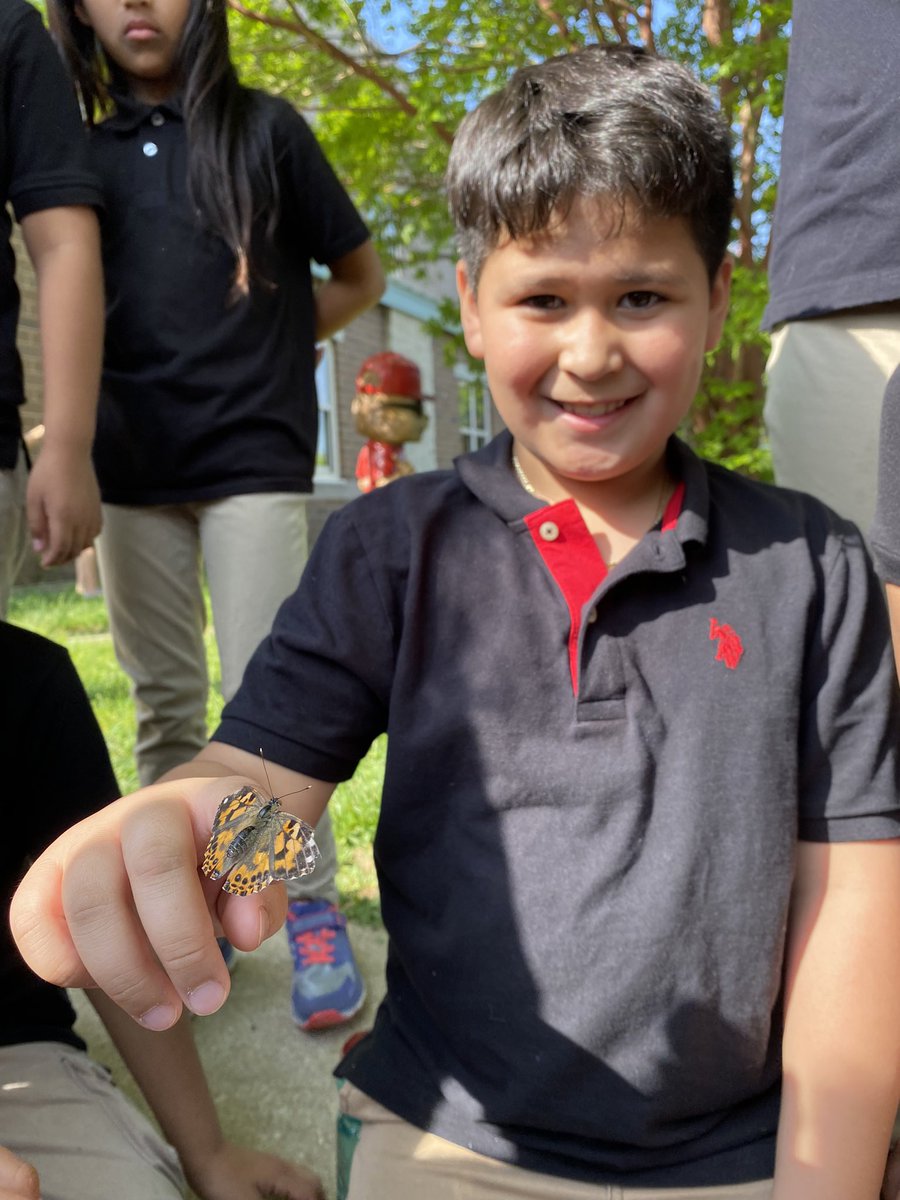 Released our beautiful butterflies today 🦋