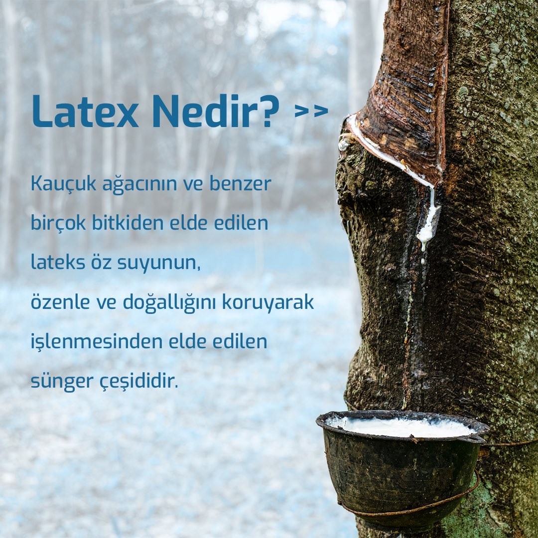 Viscotex1's tweet photo. Lateks yastıklar ile sağlıklı bir uykuya hazır mısınız?

#Viscotex #Visco #ViscoYastık #Yastık #Sağlık #Uyku #Ortopedik #OrtopedikYastık #Seyahat #ViscoYastık #Latex https://t.co/pnQ5kth38O