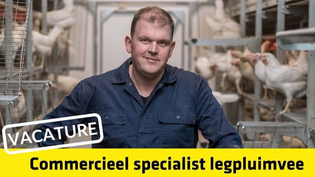 📢 𝗩𝗔𝗖𝗔𝗧𝗨𝗥𝗘: In deze uitdagende tijd vinden wij het nog belangrijker om er te zijn voor de Nederlandse pluimveehouder. Heb jij het in je om samen met de pluimveehouder het beste uit zijn bedrijf te halen? Solliciteer dan nu 👉  bit.ly/3bN0RmC