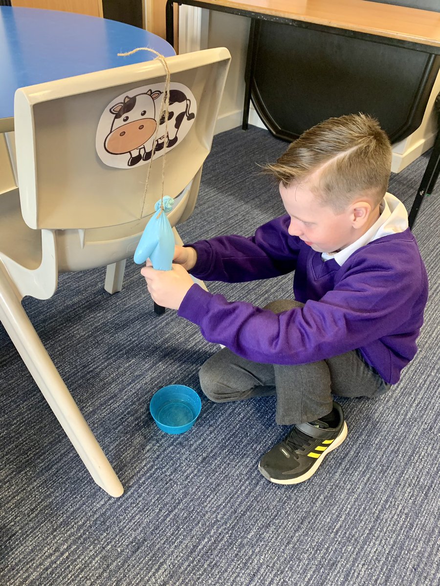 MrsDuncan123's tweet photo. For our on the farm topic continuing our learning about jobs on a farm, Room 4 became farmers this afternoon through play. They each ‘milked a cow’ to see how much milk they could collect in the bowl. They agreed it was hard work! 🐄🥛@HareleeshillPS #itsSLC https://t.co/OIV3s8IXW1