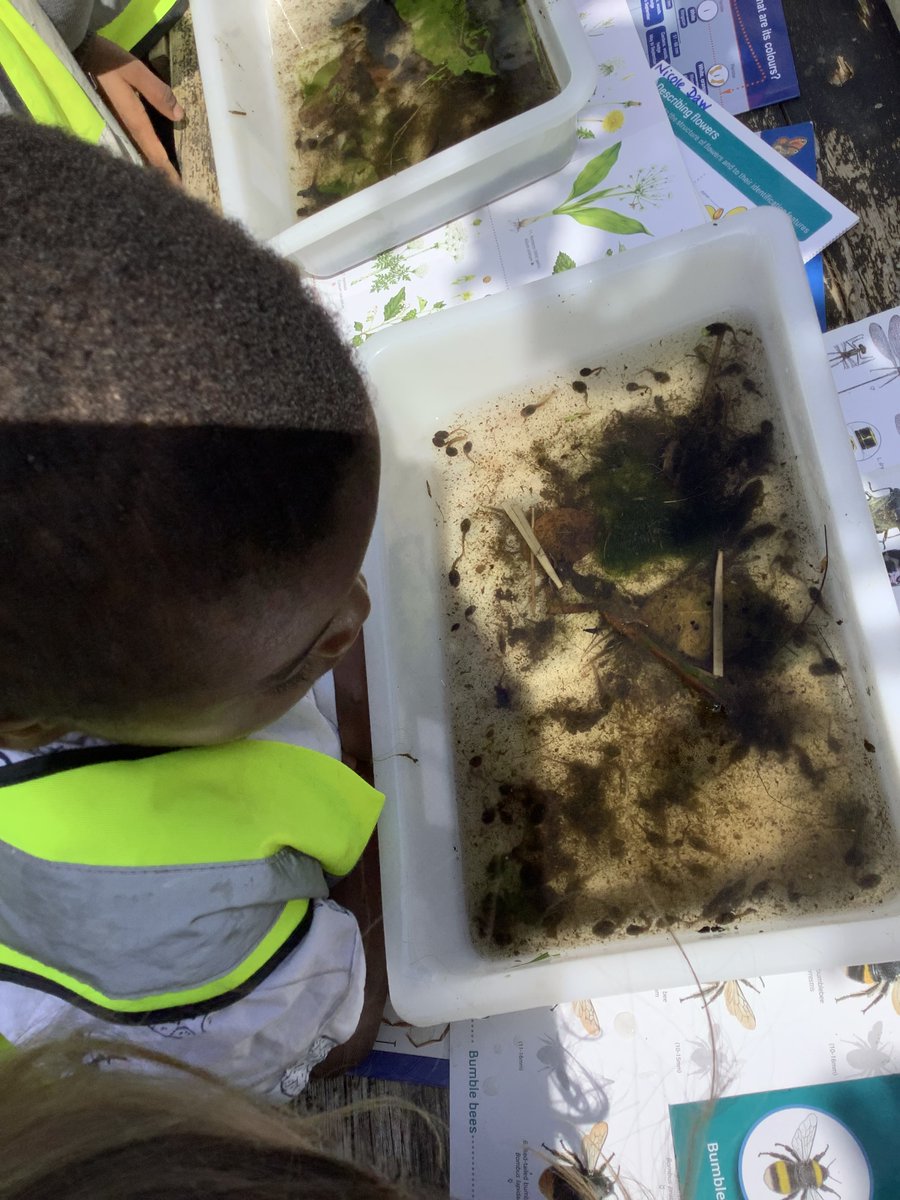 Thank you to @Woodcroft_Orch for hosting Oak class today. We had an amazing time making seed bombs, decorating tiles, pond dipping. We even saw slow worms! @VenturersTrust #EYFS #Culturalcapital #expriences