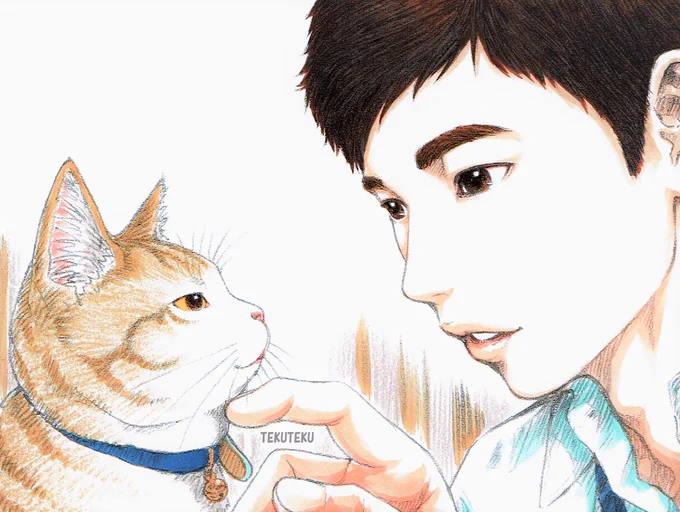 左右反転も可愛い  #猫好き #illustration #オリジナルイラスト
