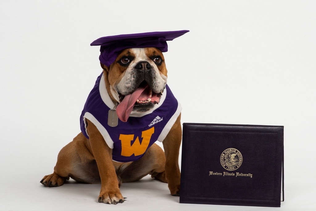 CONGRATULATIONS LEATHERNECKS!  Best wishes to all our graduating seniors this weekend. #wiu #wiuadmissions #wiupride