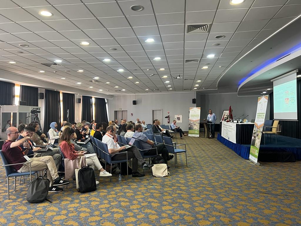 pastinnova's tweet photo. ๐๏ธ๐งโ๐ซOn the 12th of May, the last day of the PASTINNOVA General Assembly organised in Tangier, Marocco, was held the Mediterranean Conference on Pastoral Systems.
๐ช๐๐๐
#PASTINNOVA #Mediterranenpastoralism #H2020 #PRIMAMED #PRIMA https://t.co/iVN0CTroEr