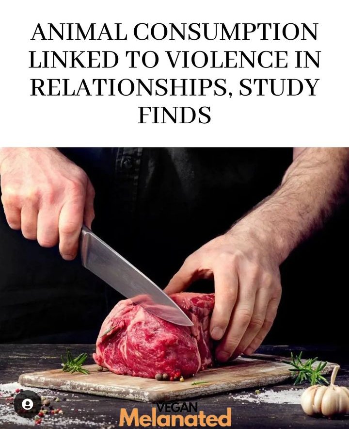 What's your take on this?

Newly published research has found a possible connection between animal meat consumption and aggression towards intimate partners.
plantbasednews.org/culture/ethics…

#Vegan #vegannews #VeganForTheAnimals