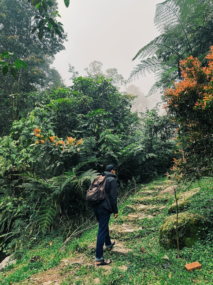 krn4ever's tweet photo. panjang panjangan hal hal baik 🌻 https://t.co/RwIviIz4DV