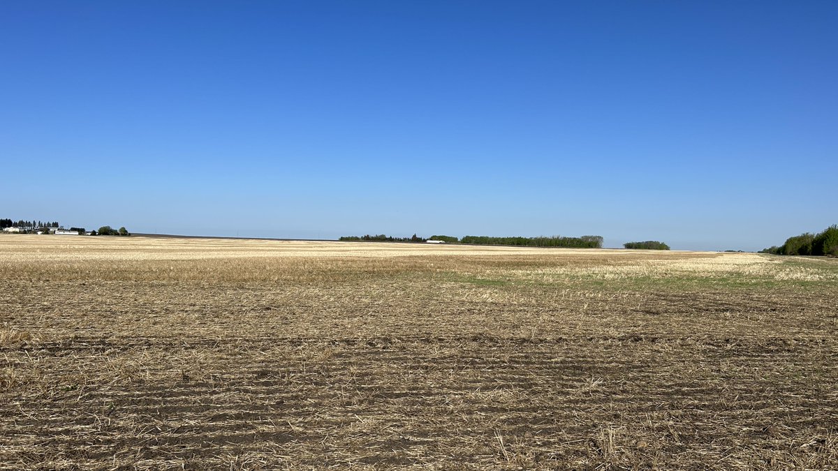 SeedMaster Mfg. (@seedmastermfg) on Twitter photo Big day today in Sturgeon County! With our contest partners, BASF, Nutrien ESN, Crop Intelligence, and Telus Decisive Farming, we’re going to seed this field with Invigor canola with a SeedMaster UltraSR for Ken Krywko! #160AcresOfGold #UltraSR #Plant23 <a href="/adfarm/">AdFarm</a> Big day today in Sturgeon County! With our contest partners, BASF, Nutrien ESN, Crop Intelligence, and Telus Decisive Farming, we’re going to seed this field with Invigor canola with a SeedMaster UltraSR for Ken Krywko! #160AcresOfGold #UltraSR #Plant23 <a href="/adfarm/">AdFarm</a>